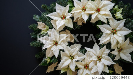 White Poinsettia Christmas Wreath with Gold Accents 120039448
