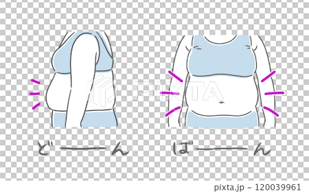 お腹の大きな肥満女性のイラスト素材 120039961