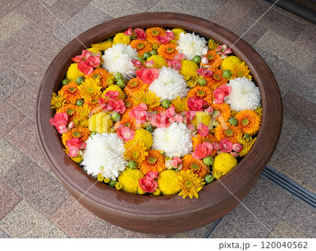 カラフルなフローティングフラワー 120040562