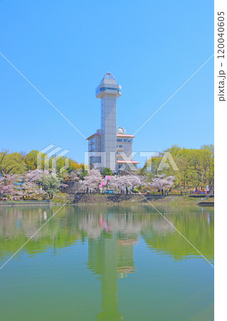 愛知県尾張旭市、スカイワードあさひと桜の風景 120040605