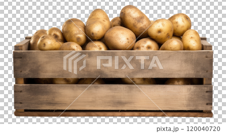 Potatoes 120040720