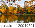 池のほとりの紅葉 120040791