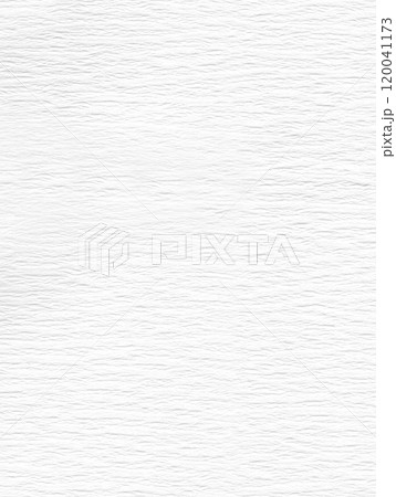 白色の和紙（和風）背景画 120041173