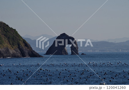 相島の東にそそり立つ柱状節理の岩 相島の東にそそり立つ柱状節理の岩 120041260