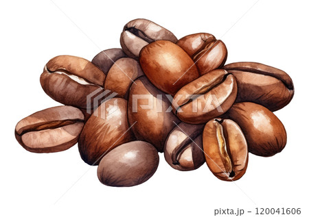 Watercolor Coffee Beans 120041606