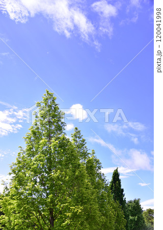 青空 青空 120041998