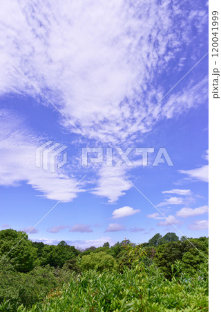 青空 青空 120041999