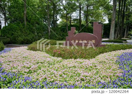 大安森林公園（台湾・台北市大安区） 120042264