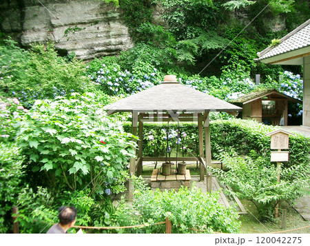 鎌倉の明月院(瓶の井) 鎌倉の明月院(瓶の井) 120042275