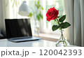 Elevate your workspace aesthetic with a minimalist white lamp and a stunning red rose 120042393
