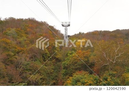 札幌もいわ山ロープウェイから見た風景 120042590
