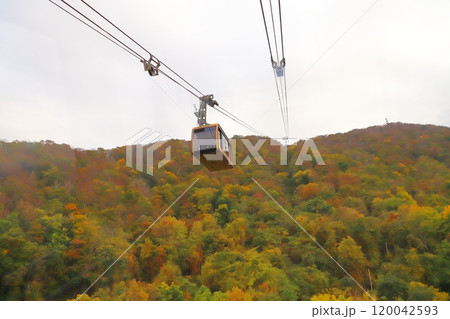 札幌もいわ山ロープウェイから見た風景 120042593