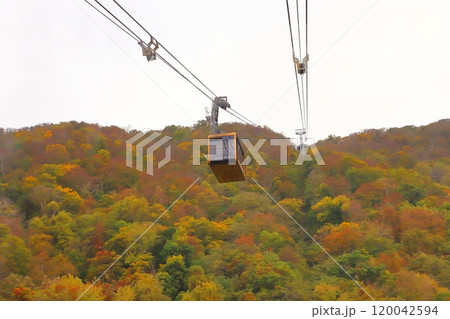 札幌もいわ山ロープウェイから見た風景 120042594
