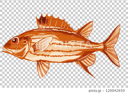 Cute saltwater fish, Ukeguchi Ittoudai, paper cut illustration 120042650