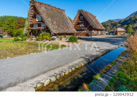 秋の白川郷　ニジマスなどが泳ぐ　田舎 120042912