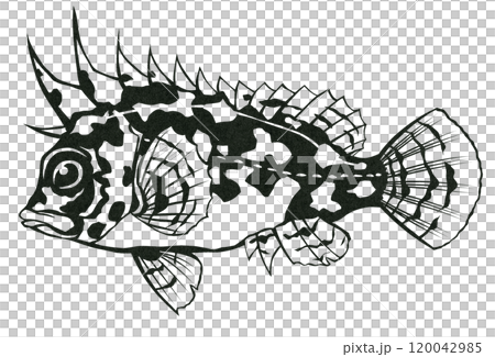 鹹水魚、海藻的簡單黑白剪紙插圖。 120042985