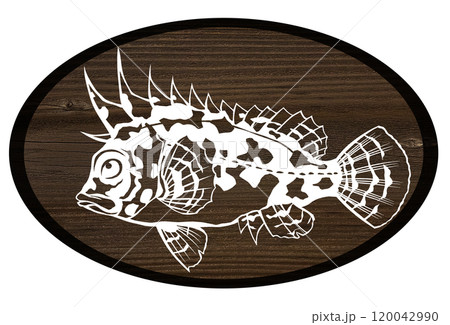 毒のある危険魚ハオコゼのウッドペインティング切り絵イラスト 毒のある危険魚ハオコゼのウッドペインティング切り絵イラスト 120042990