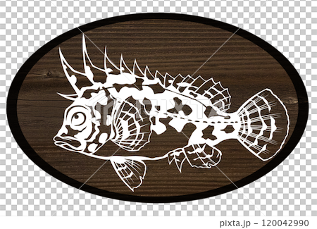 毒のある危険魚ハオコゼのウッドペインティング切り絵イラスト 毒のある危険魚ハオコゼのウッドペインティング切り絵イラスト 120042990