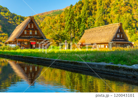 世界遺産  五箇山 菅沼 合掌造り集落 秋 世界遺産  五箇山 菅沼 合掌造り集落 秋 120043101