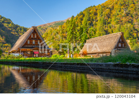 世界遺産 　五箇山　菅沼　合掌造り集落　秋 120043104