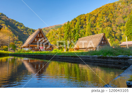 世界遺産 五箇山 菅沼 合掌造り集落 秋 世界遺産 五箇山 菅沼 合掌造り集落 秋 120043105