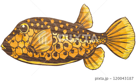 独特模様の海水魚ハコフグの切り絵イラスト 独特模様の海水魚ハコフグの切り絵イラスト 120043187