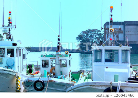 用宗港のシラス漁船 用宗港のシラス漁船 120043460
