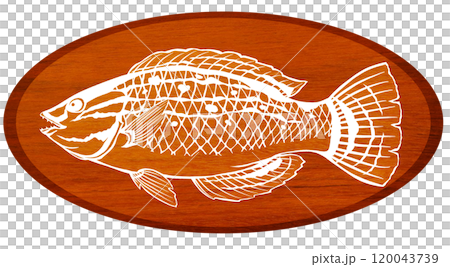 彩色魚瀨魚的剪影插圖 120043739