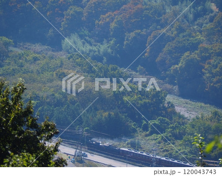 太陽に照らされて輝く森に沿って走る機関車 太陽に照らされて輝く森に沿って走る機関車 120043743