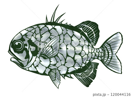 発光機能を持つマツカサウオの切り絵イラスト 120044116