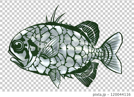 発光機能を持つマツカサウオの切り絵イラスト 120044116