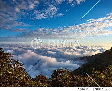 雲海 120044378