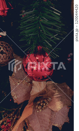 Close up of a festive Christmas tree decoration of red and gold bauble and glittering poinsettia ornament 120044420