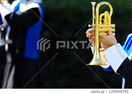 マーチングバンド パレード 楽器 マーチングバンド パレード 楽器 120044591