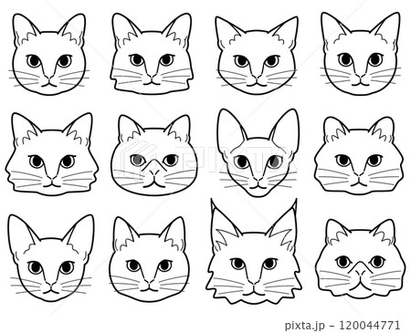 様々な種類の猫の顔 120044771
