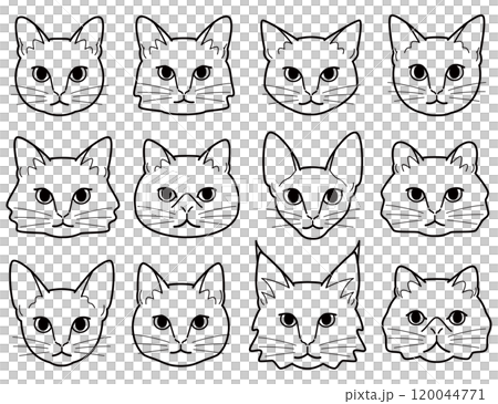 様々な種類の猫の顔 120044771