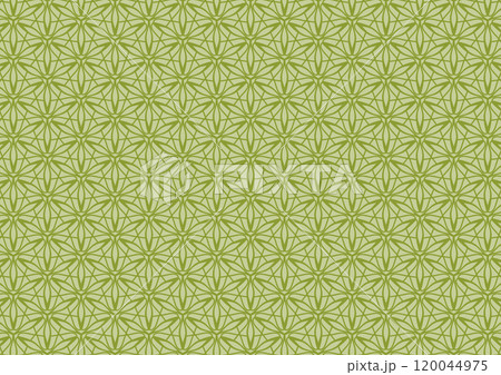 Presentation flower yellow pattern art background Presentation flower yellow pattern art background 120044975