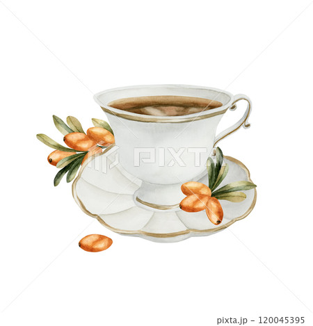 Cup of sea buckthorn tea with orange berries and green leaves. Watercolor hand drawn floral illustration isolated on white background for cozy fall design, medicinal herbs package, prints, invitations 120045395