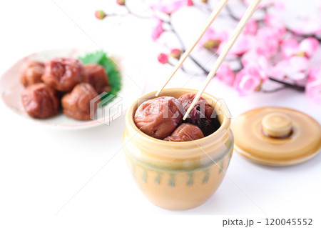 梅干し　（ 白背景 ） 120045552