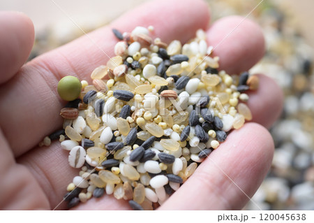 雑穀 120045638