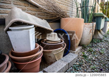 Image photo 120045665