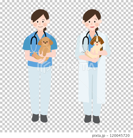 犬を抱っこした女性獣医師さん　手描きベクターイラスト 120045720