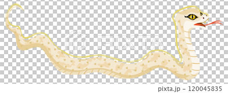 Illustration of a white snake in the year of the snake 120045835
