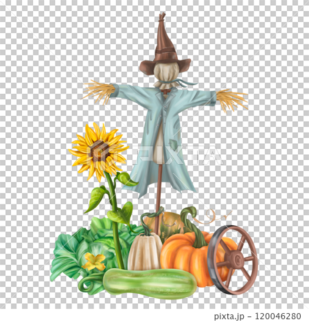 Autumn garden composition with a scarecrow and a harvest of seasonal vegetables. Pumpkins, zucchini, sunflowers, cabbage. Halloween and fall decor for posters and postcards. Isolated illustration 120046280