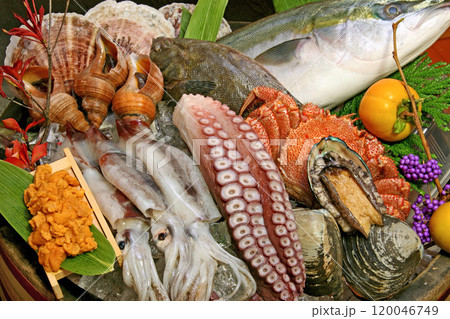 北海道海の幸イメージ　新鮮魚介 120046749