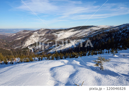 Winter at Silesian Beskid on European Bialy Krzyz in Poland 120046826