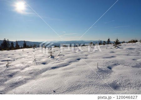 Snowy lea at Silesian Beskid on European Bialy Krzyz in Poland 120046827
