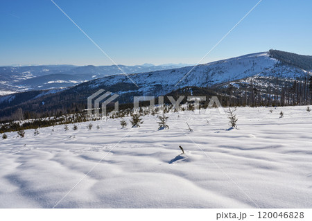 Snowy slope of Barania Gora peak at Silesian Beskid on Bialy Krzyz in Poland Snowy slope of Barania Gora peak at Silesian Beskid on Bialy Krzyz in Poland 120046828