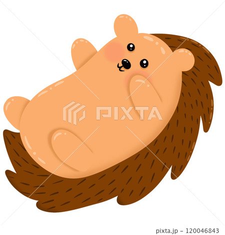 Hedgehog cartoon lying on his stomach Hedgehog cartoon lying on his stomach 120046843