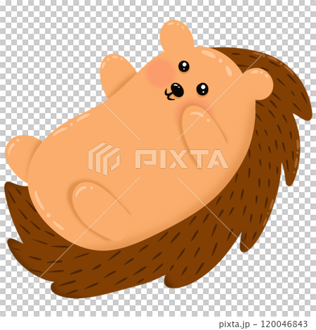 Hedgehog cartoon lying on his stomach Hedgehog cartoon lying on his stomach 120046843
